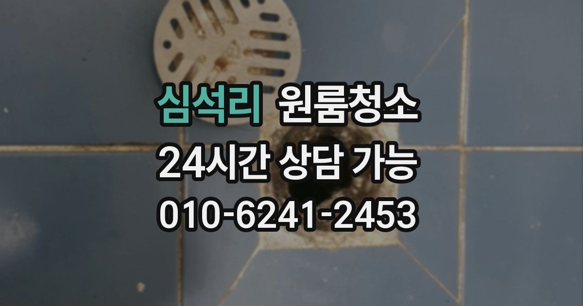심석리 입주청소