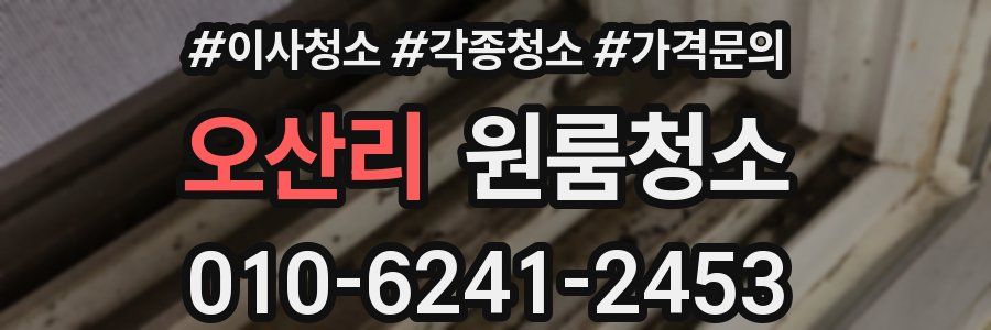 오산리 이사청소