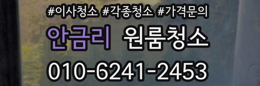 안금리 이사청소