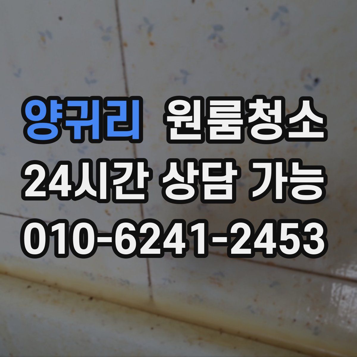 양귀리 원룸청소