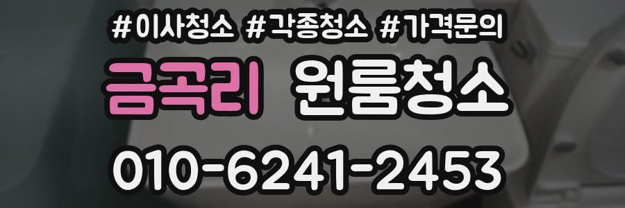 금곡리 이사청소