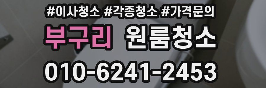 부구리 이사청소
