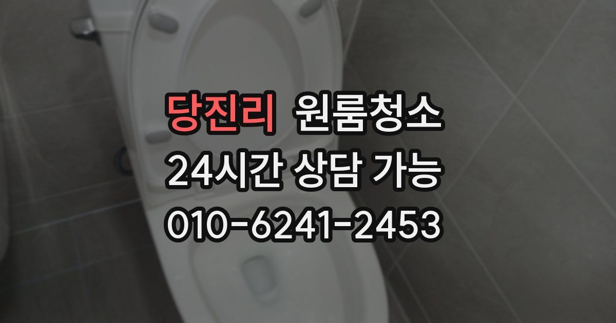 당진리 입주청소