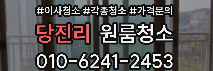 당진리 이사청소