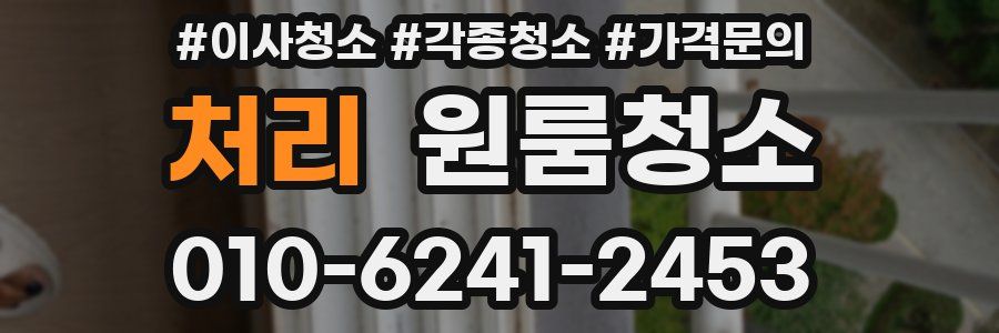 처리 이사청소
