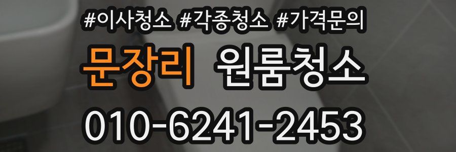 문장리 이사청소