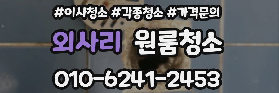 외사리 이사청소