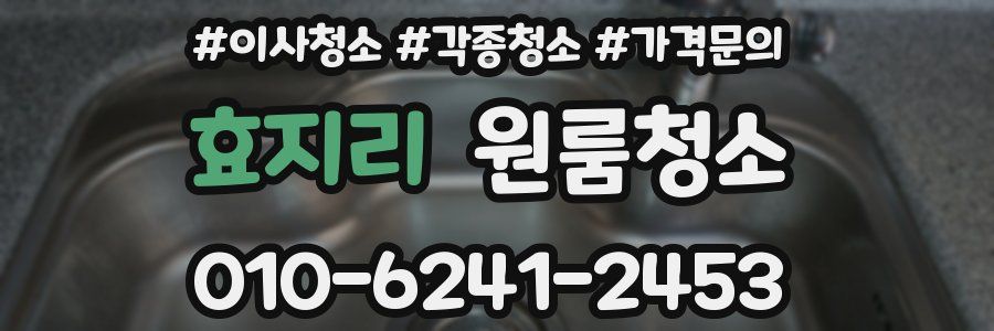 효지리 이사청소