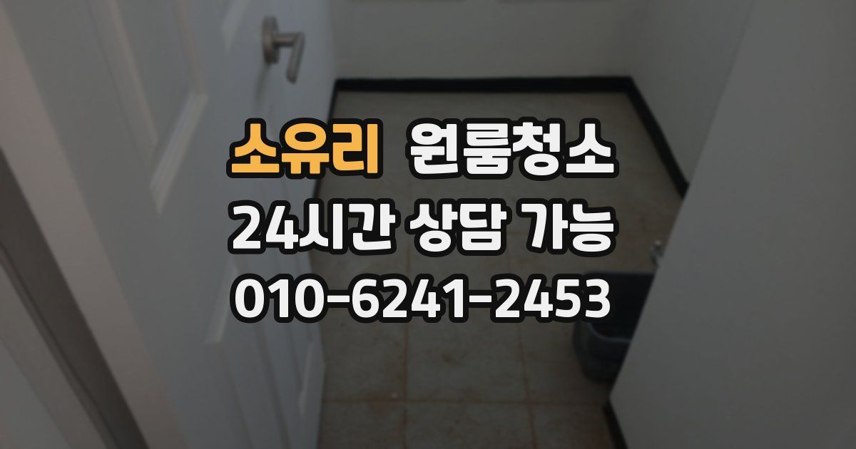 소유리 입주청소