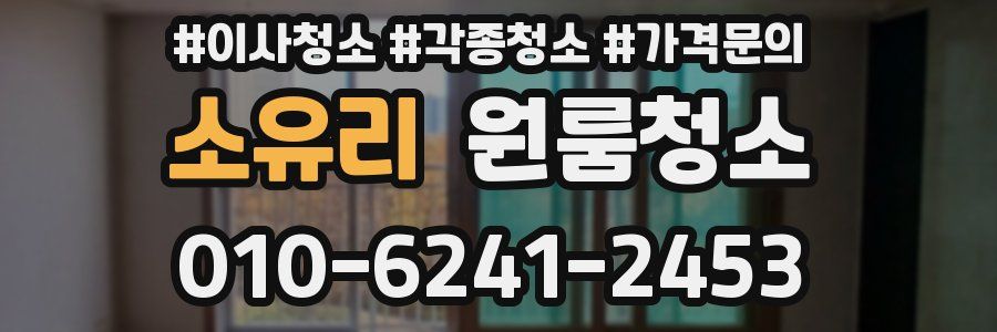소유리 이사청소
