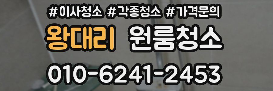 왕대리 이사청소