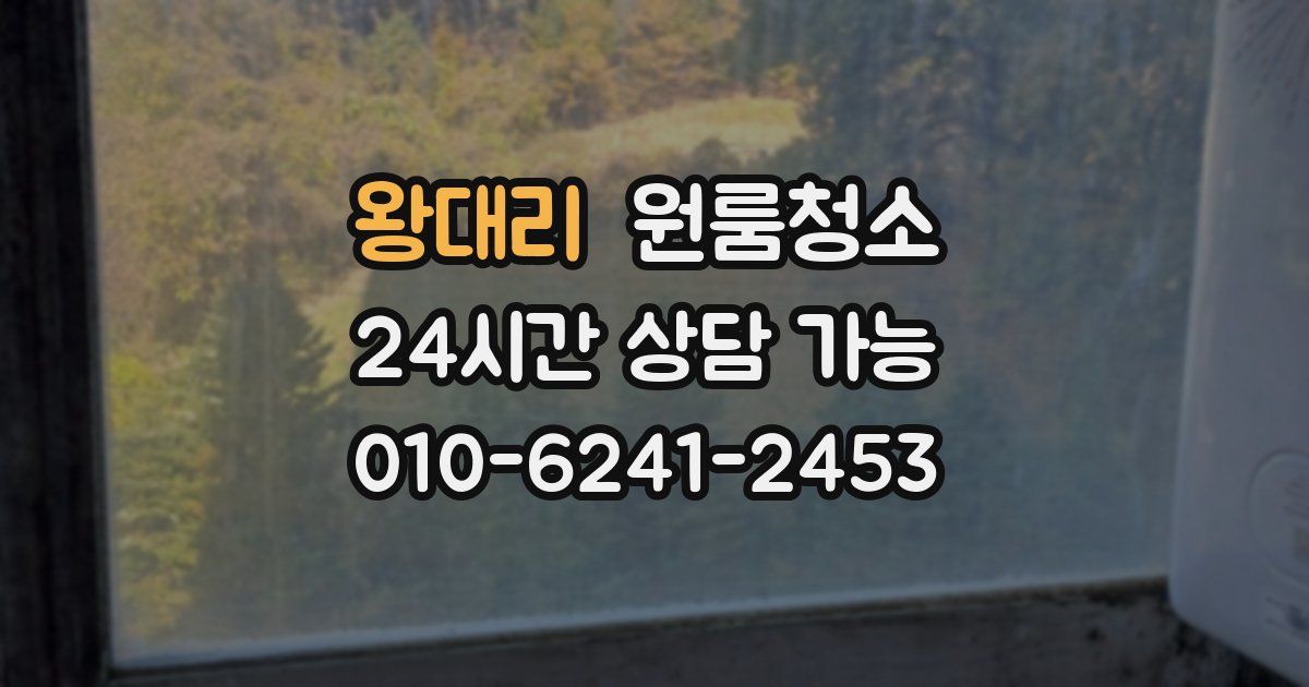 왕대리 입주청소