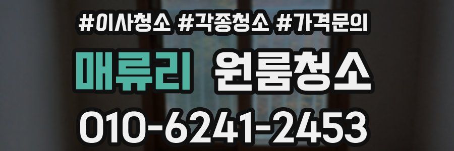 매류리 이사청소