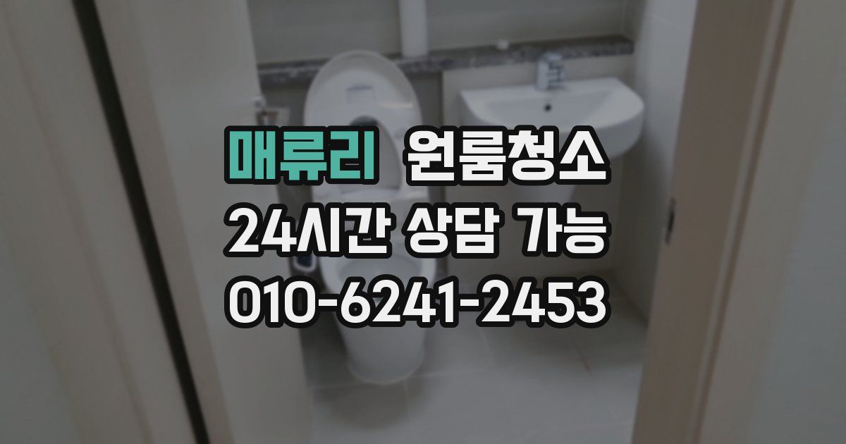 매류리 입주청소