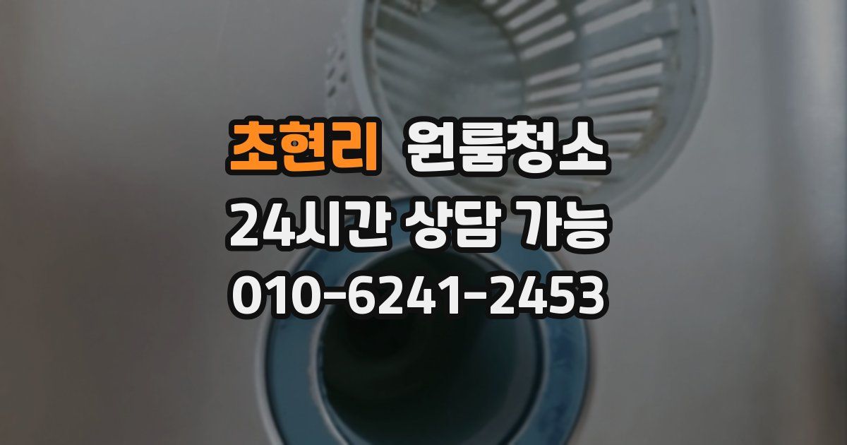 초현리 입주청소