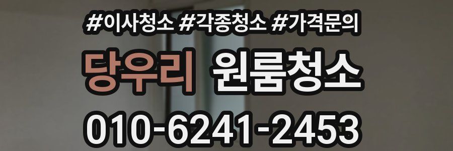 당우리 이사청소