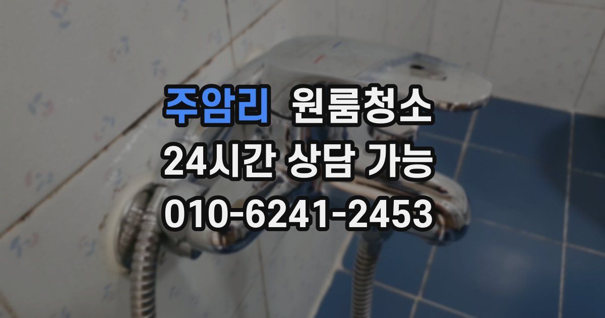 주암리 입주청소