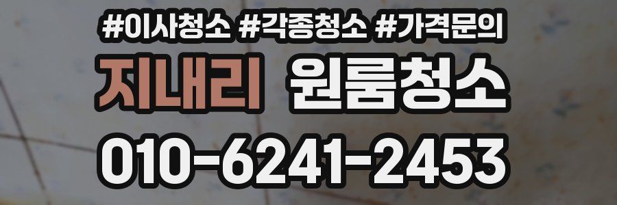 지내리 이사청소