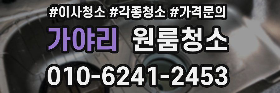 가야리 이사청소