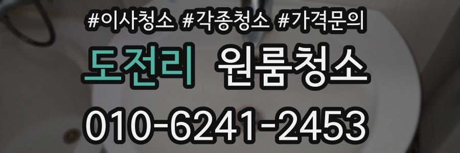 도전리 이사청소