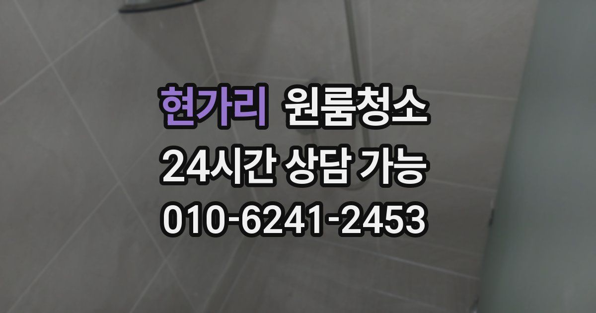 현가리 입주청소