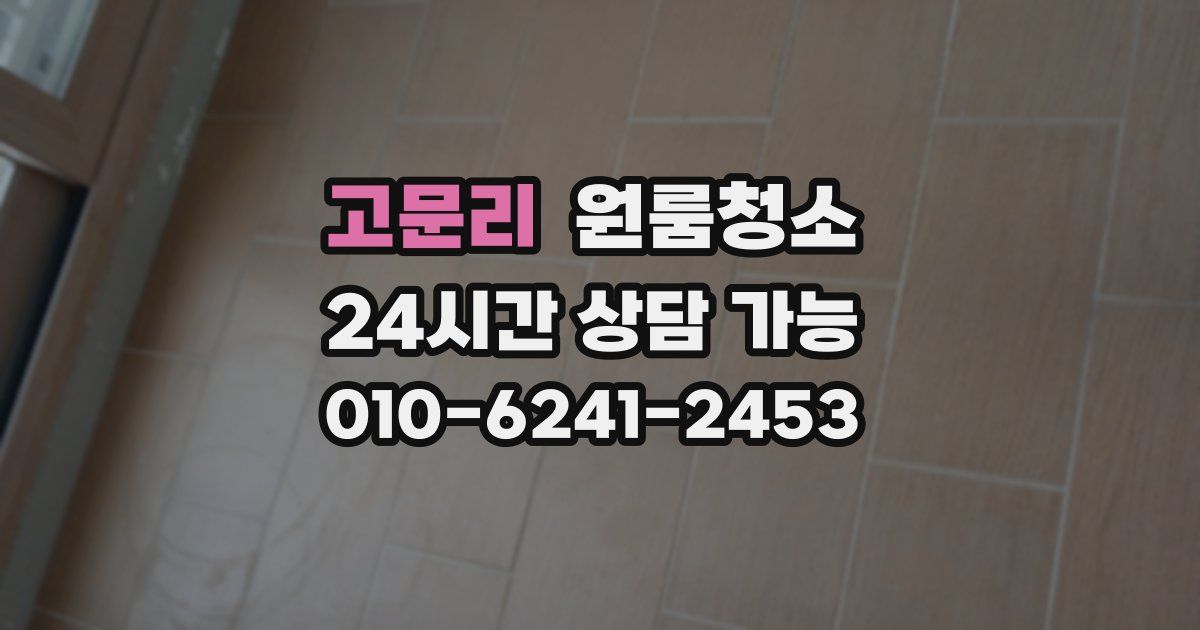 고문리 입주청소