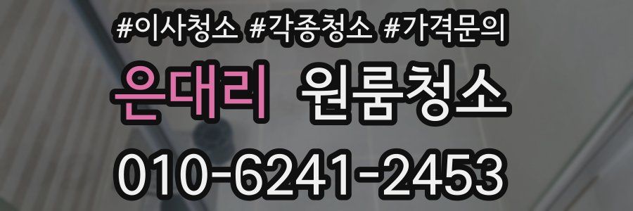 은대리 이사청소