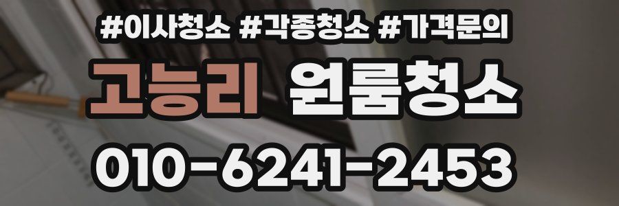 고능리 이사청소