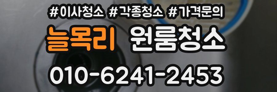 늘목리 이사청소