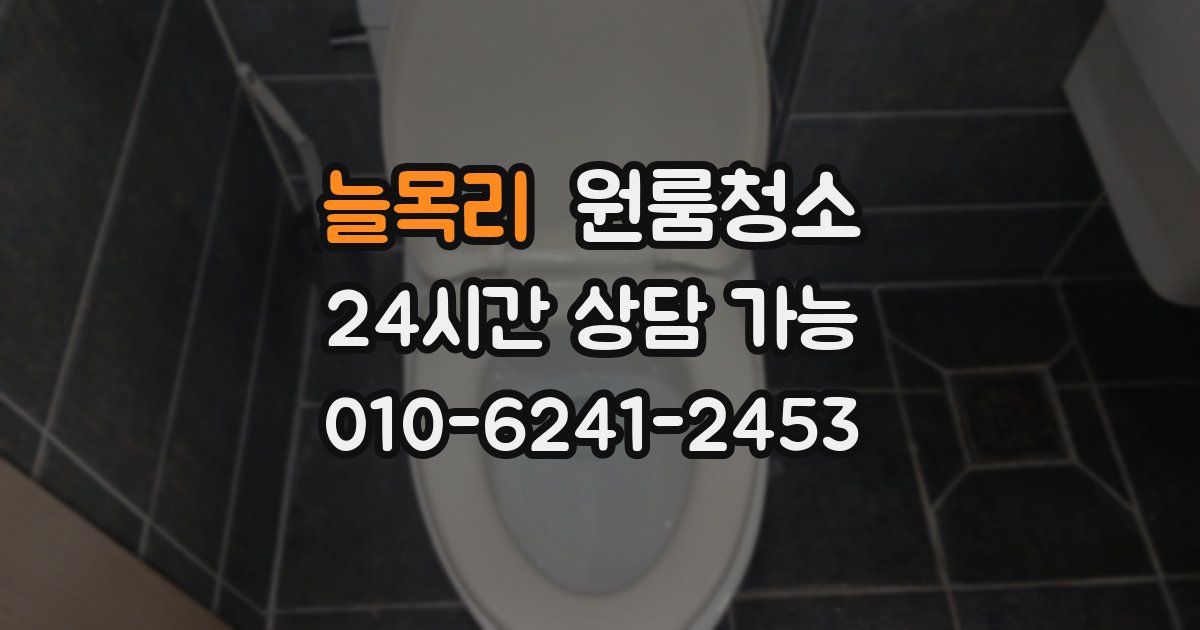 늘목리 입주청소