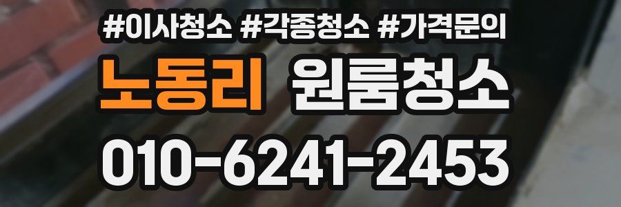 노동리 이사청소