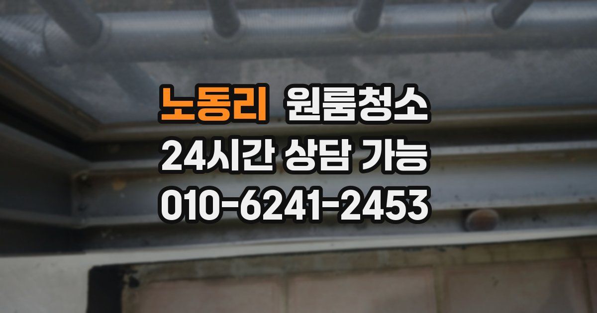 노동리 입주청소