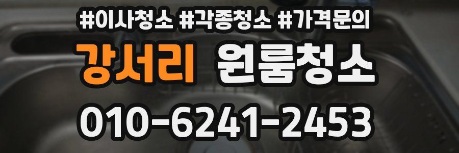 강서리 이사청소