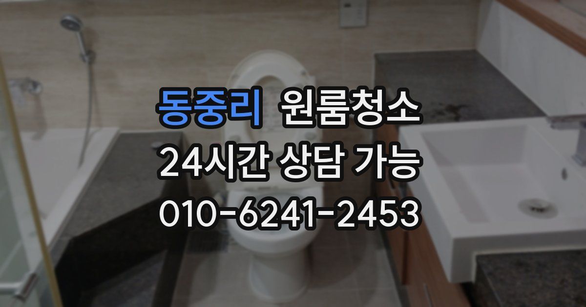 동중리 입주청소