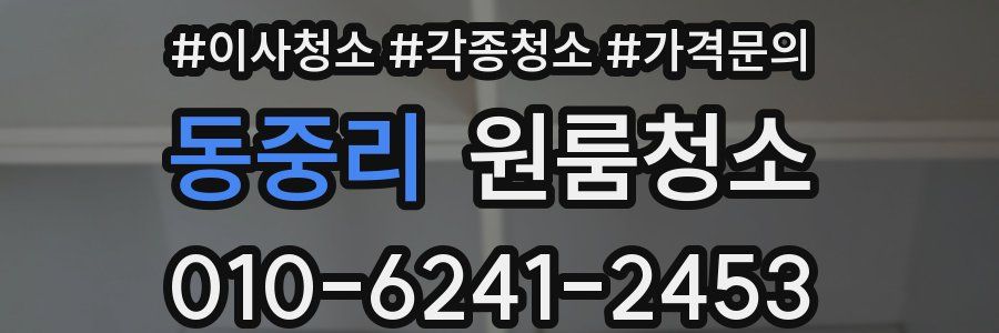 동중리 이사청소