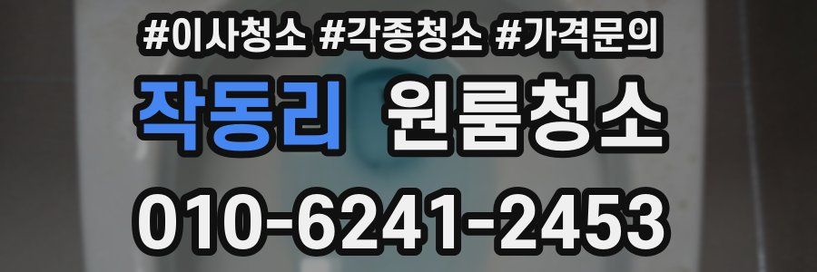 작동리 이사청소