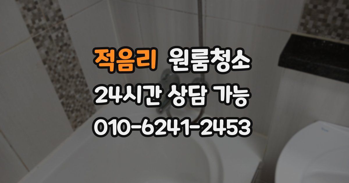 적음리 입주청소