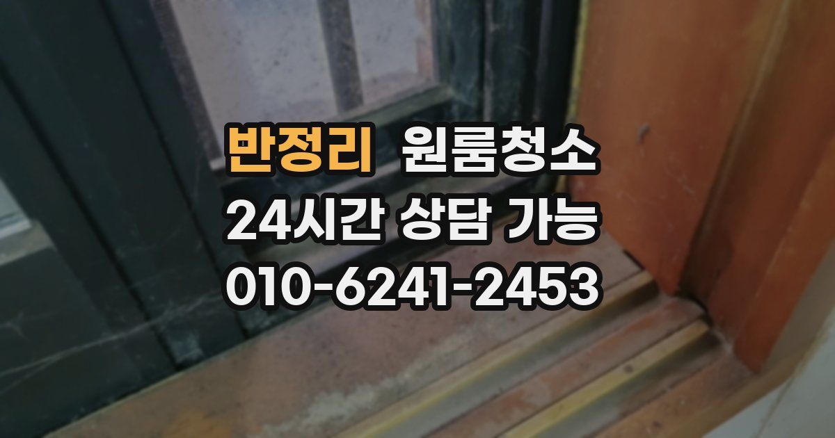 반정리 입주청소