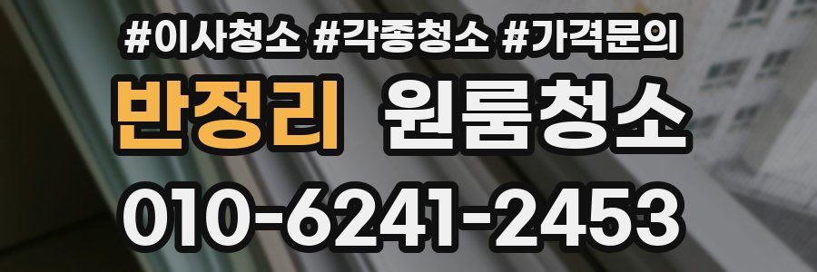 반정리 이사청소