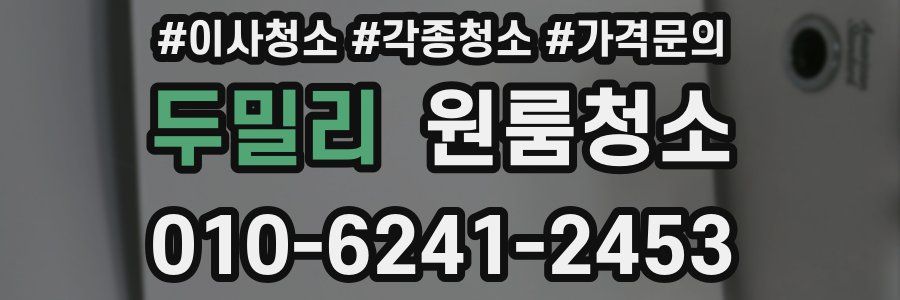 두밀리 이사청소