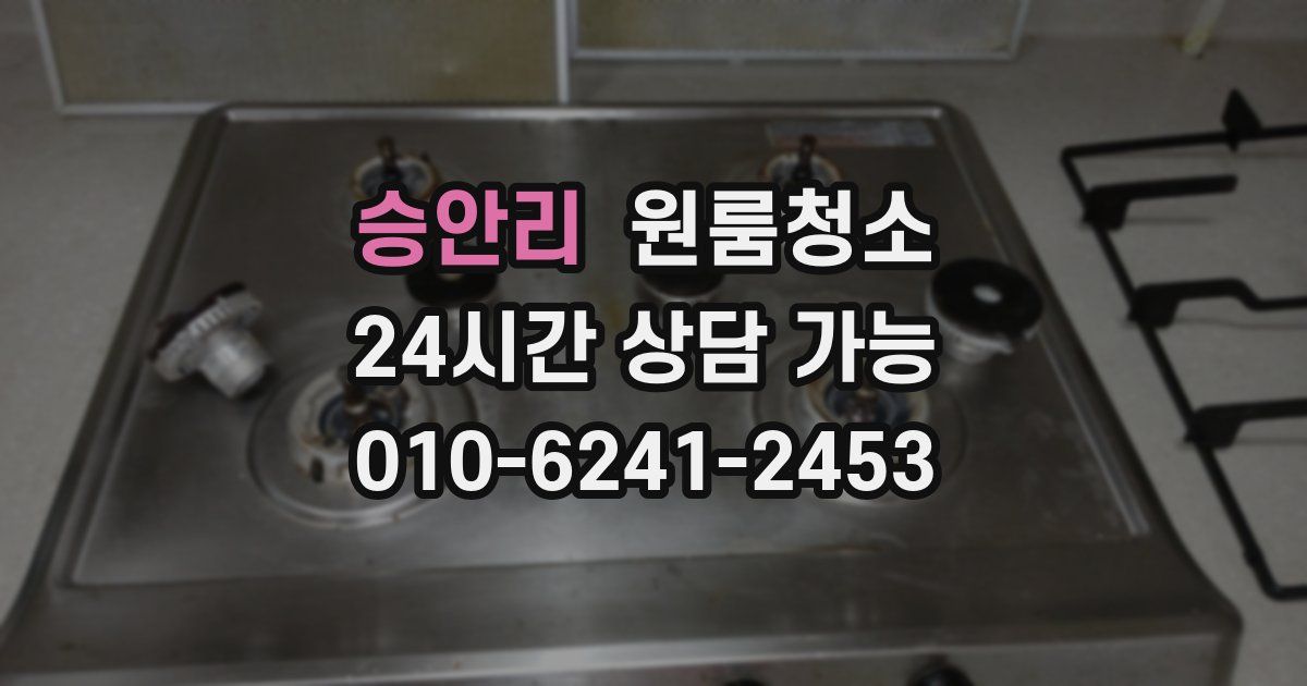 승안리 입주청소