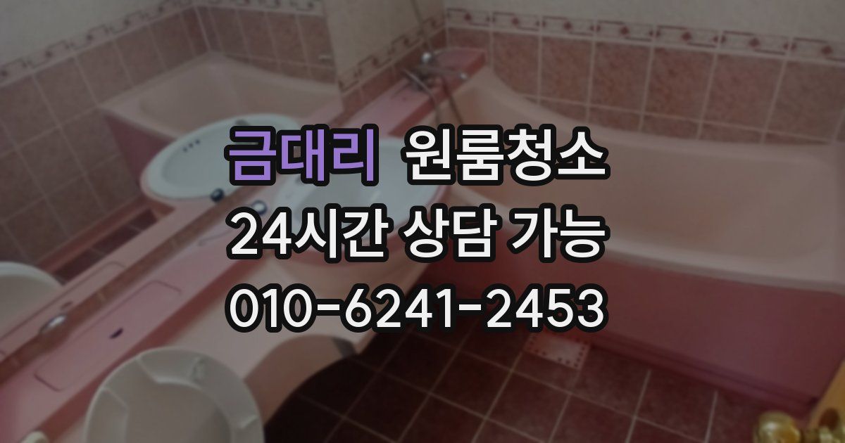 금대리 입주청소