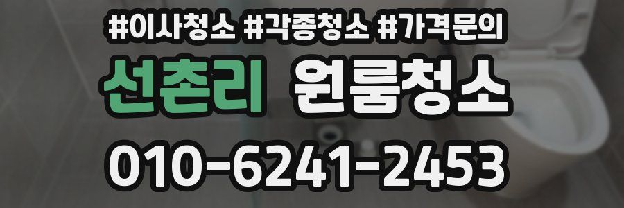 선촌리 이사청소