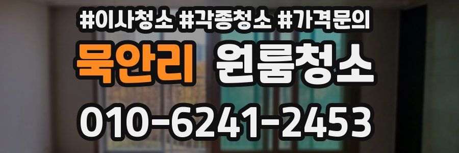 묵안리 이사청소