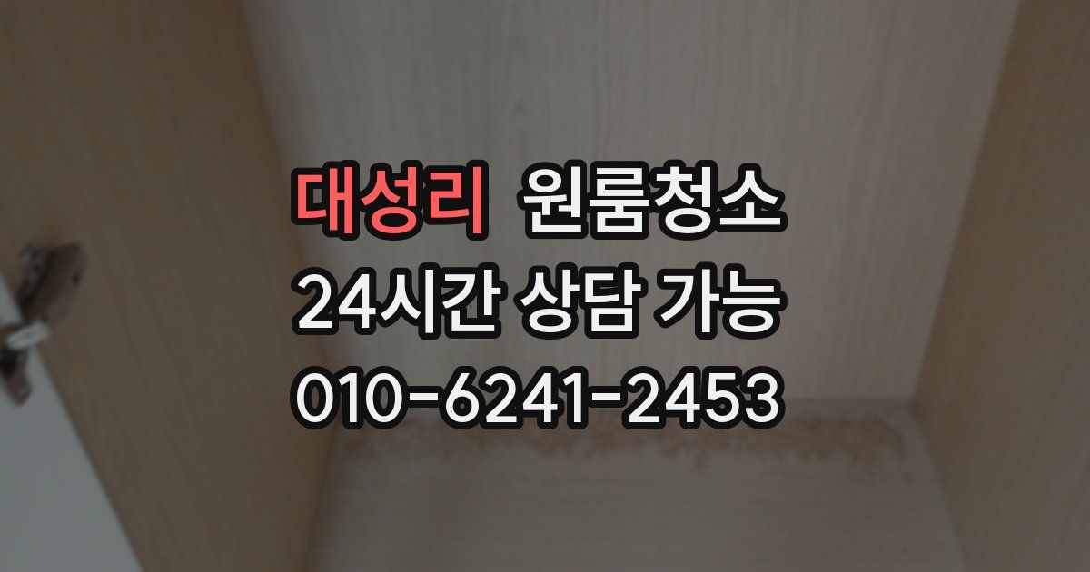 대성리 입주청소