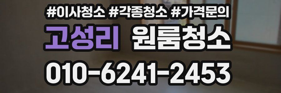 고성리 이사청소