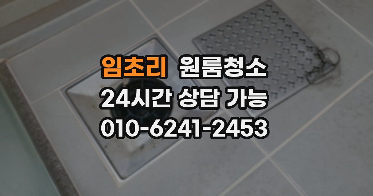 임초리 입주청소