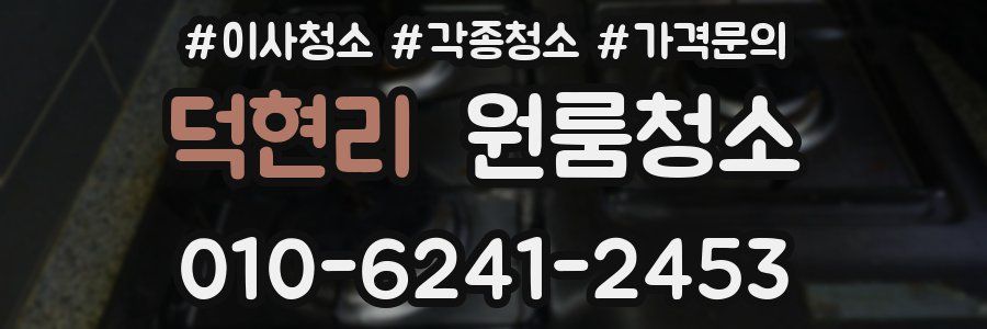 덕현리 이사청소