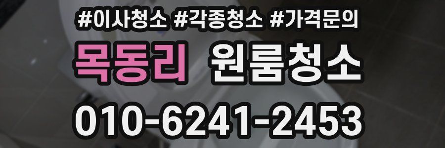 목동리 이사청소