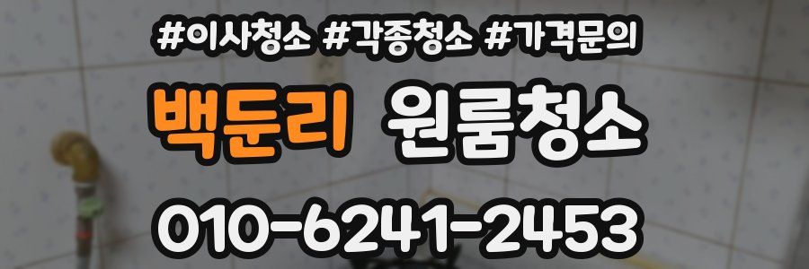 백둔리 이사청소